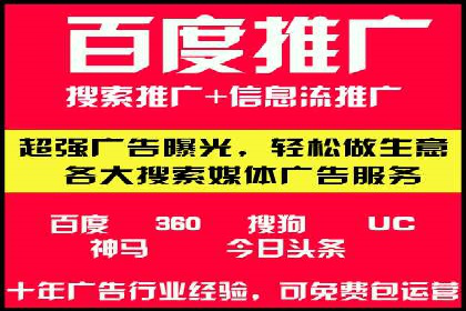 企业SEM服务实战案例解析